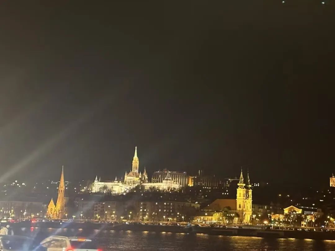 迅鐳激光董事長拜會匈牙利國家議會副主席歐拉·勞約什、中國駐匈牙利使館公使銜參贊陳奕薇(圖7)