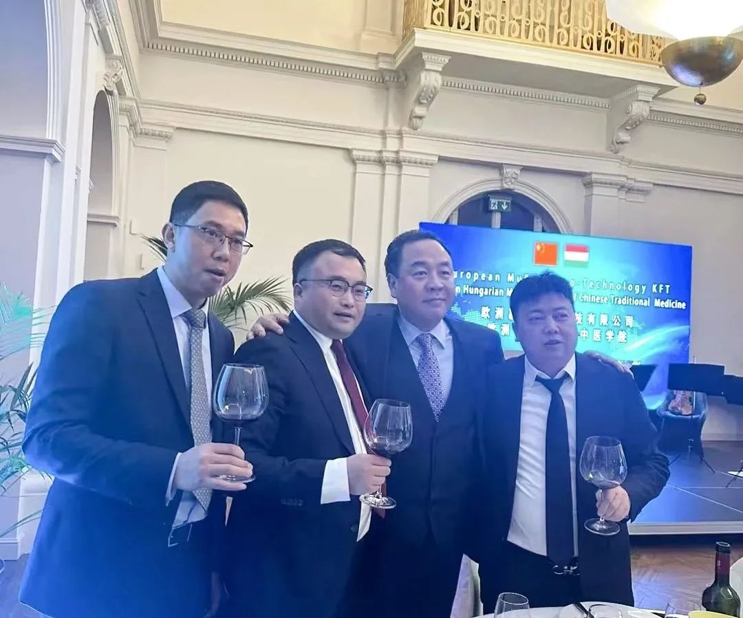 迅鐳激光董事長拜會匈牙利國家議會副主席歐拉·勞約什、中國駐匈牙利使館公使銜參贊陳奕薇(圖6)