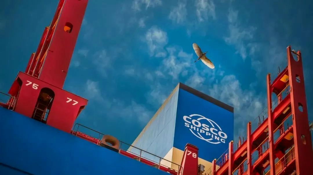 中國遠(yuǎn)洋海運(yùn)(圖3)